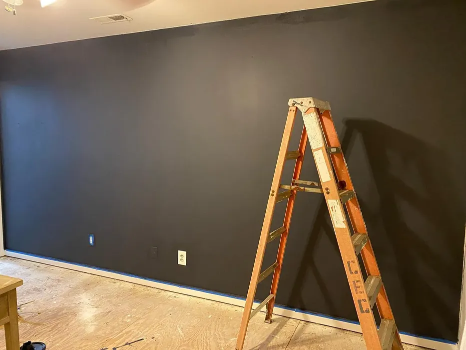 Behr PPU15-20 accent wall 