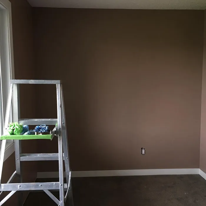 Behr Postmodern Mauve wall paint color