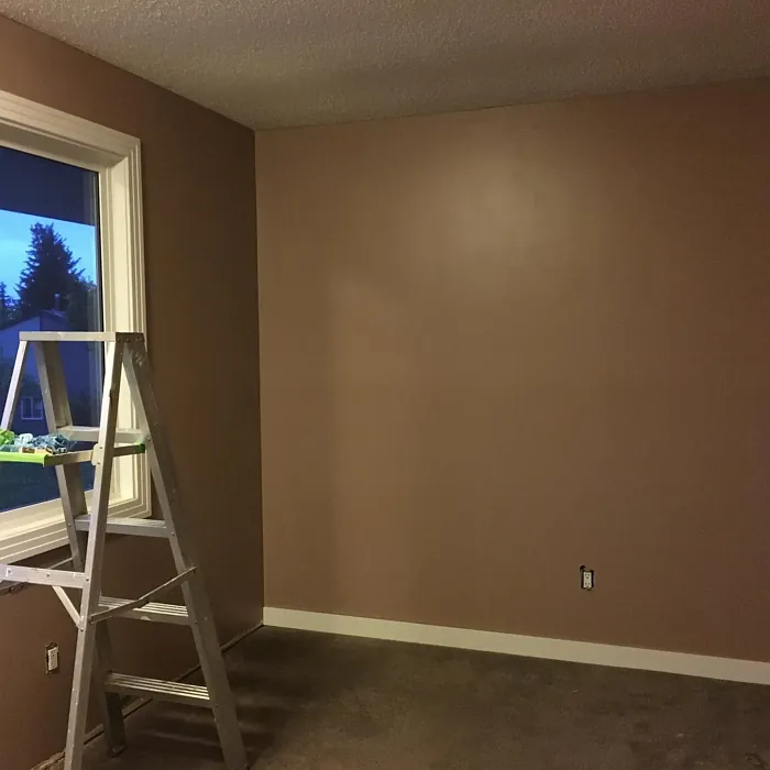 Behr Postmodern Mauve wall paint color at night