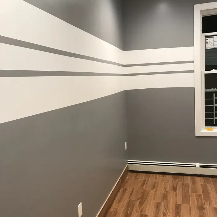 Behr Power Gray wall paint 