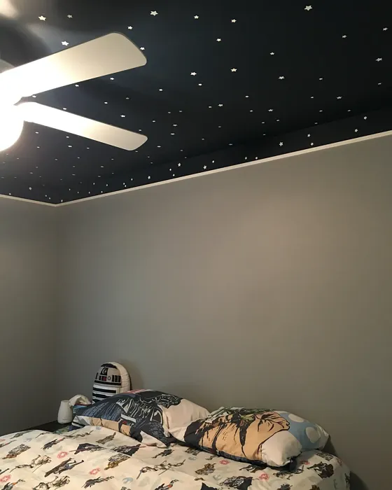 Behr Power Gray bedroom 