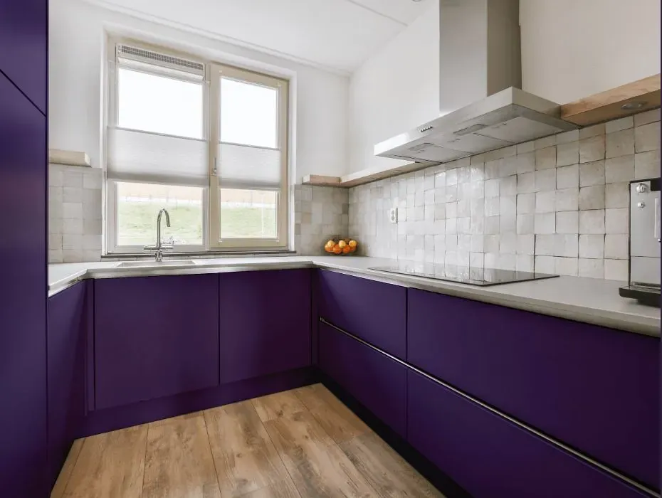 Behr Proper Purple small kitchen cabinets