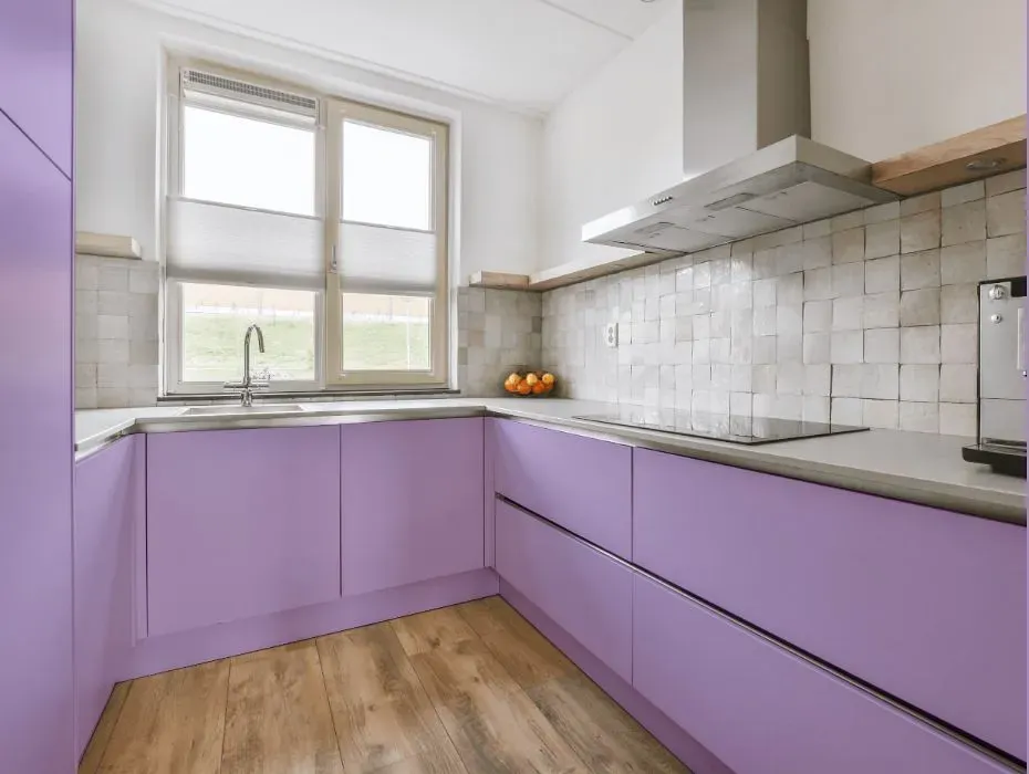 Behr Purple Gladiola small kitchen cabinets