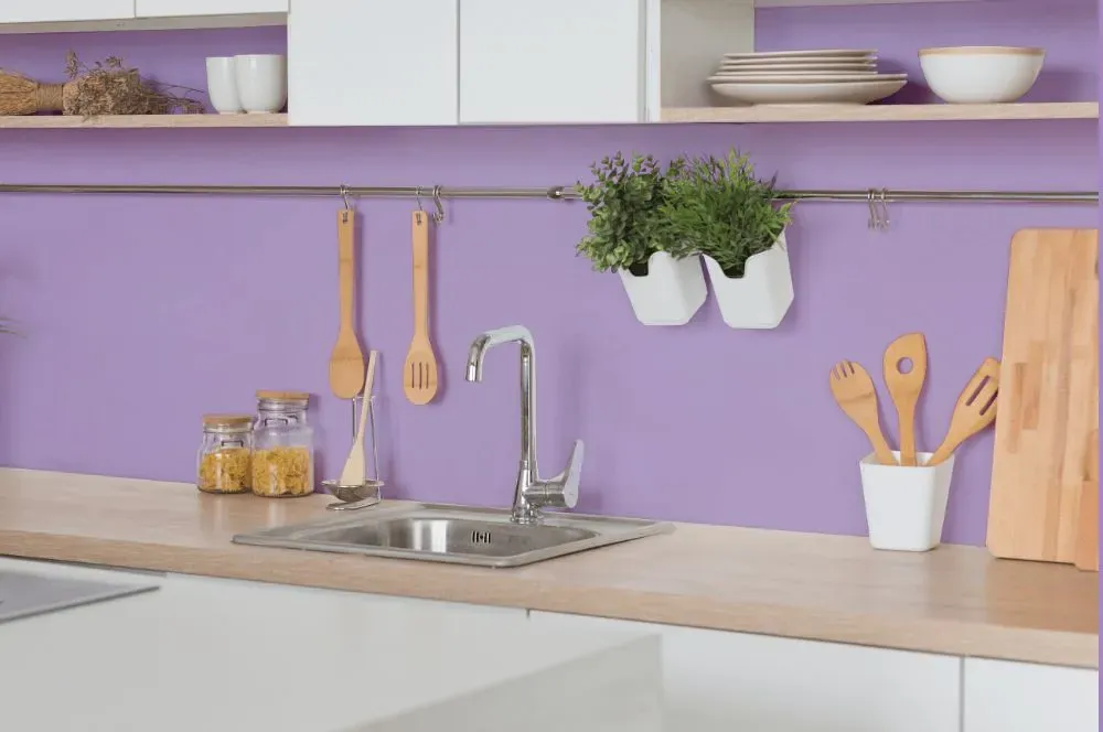 Behr Purple Gladiola kitchen backsplash