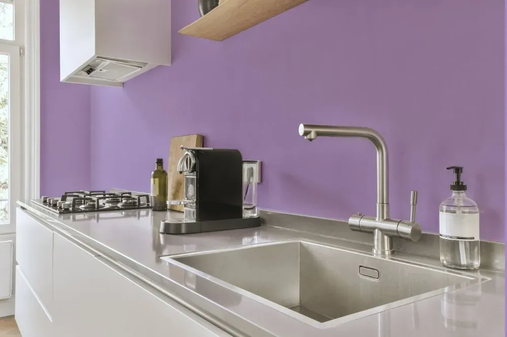 Behr Purple Gladiola kitchen painted backsplash