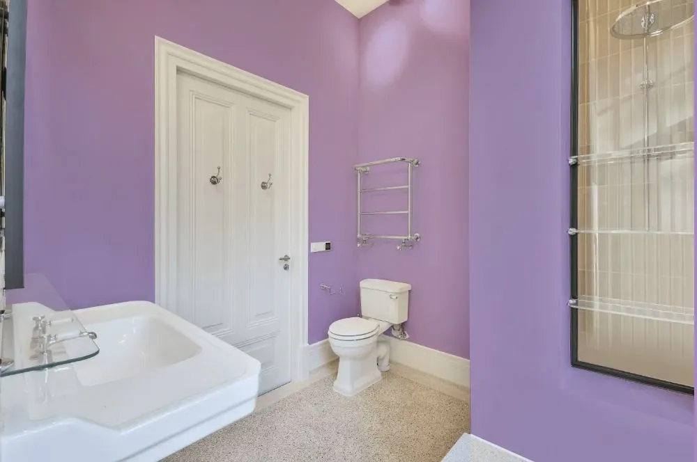 Behr Purple Gladiola bathroom