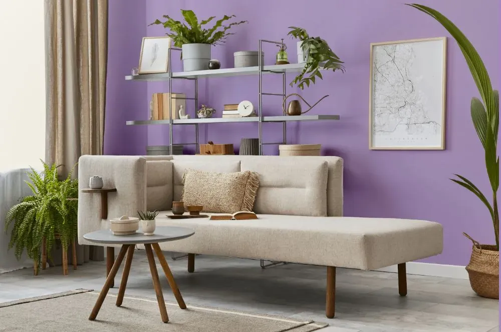 Behr Purple Gladiola living room