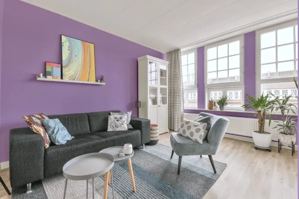 Behr Purple Gladiola living room walls