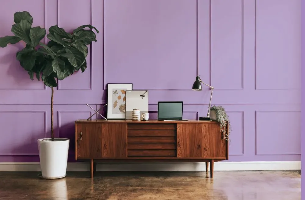 Behr Purple Gladiola modern interior