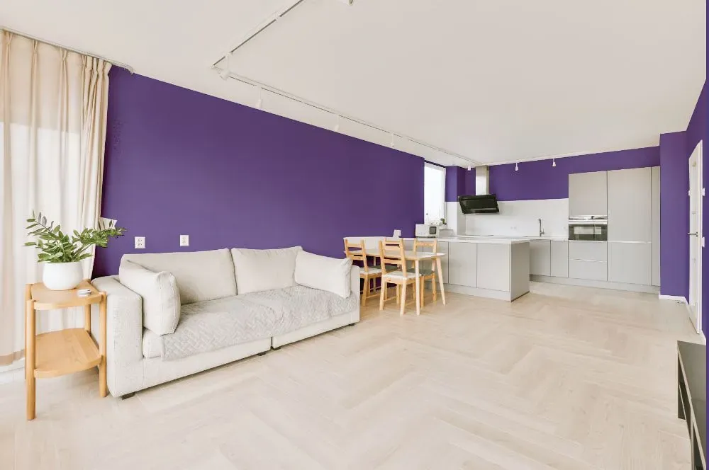 Behr Purple Paradise living room interior