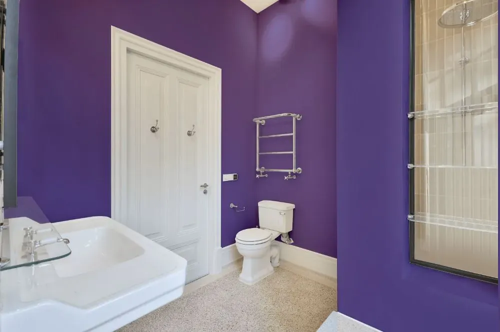 Behr Purple Paradise bathroom