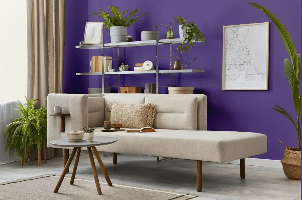 Behr Purple Paradise living room