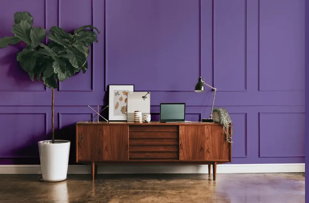 Behr Purple Paradise modern interior