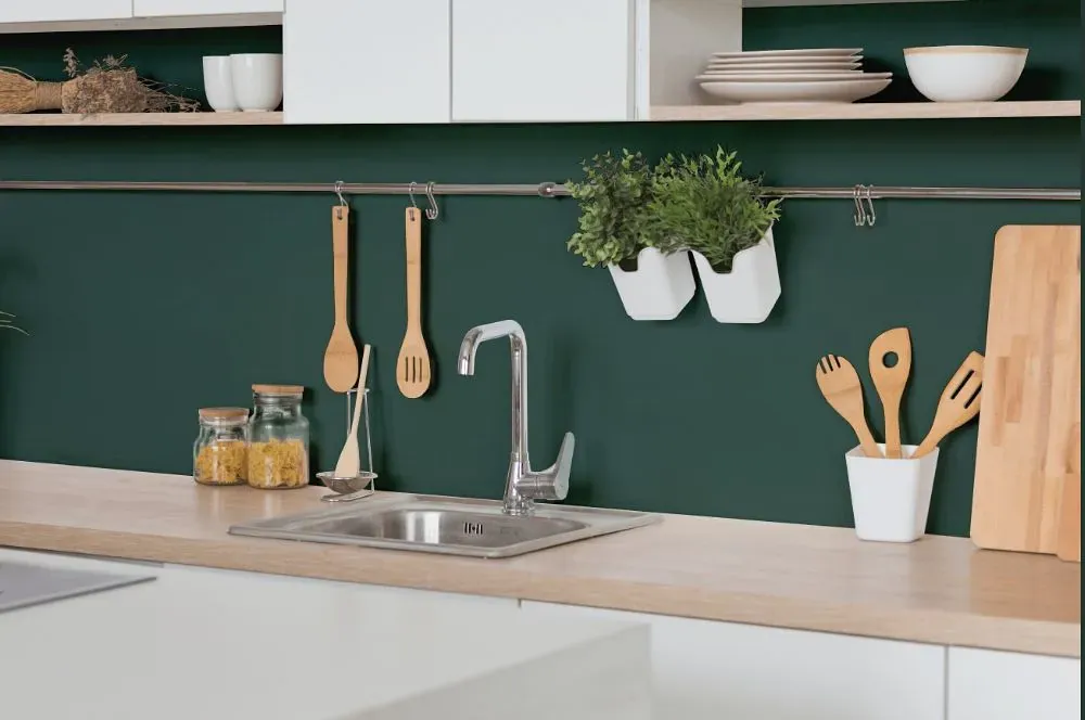 Behr Rainforest kitchen backsplash