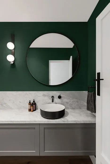 Behr Rainforest minimalist bathroom