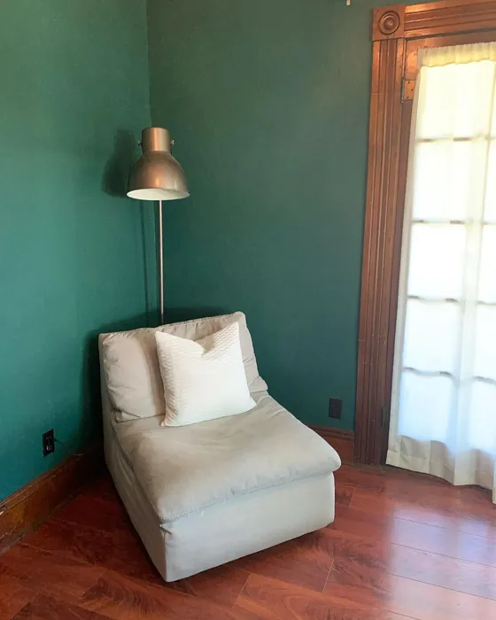 Behr Rainforest wall paint review