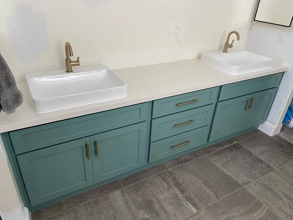 Behr N430-4 bathroom vanity color