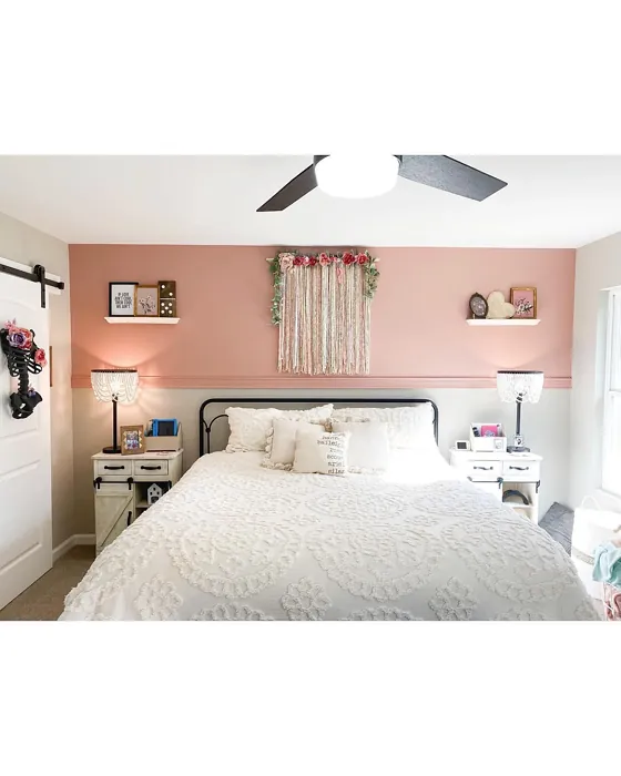 Behr Retro Pink bedroom color