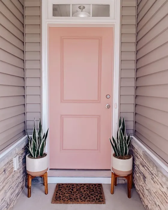 Behr S170-4 front door color review