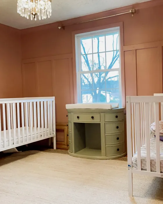 Behr Retro Pink kids' room color paint