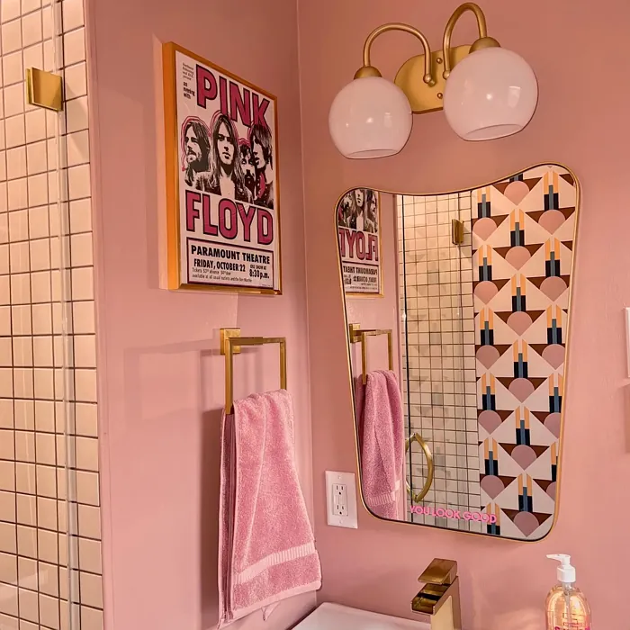 Behr Retro Pink bathroom color