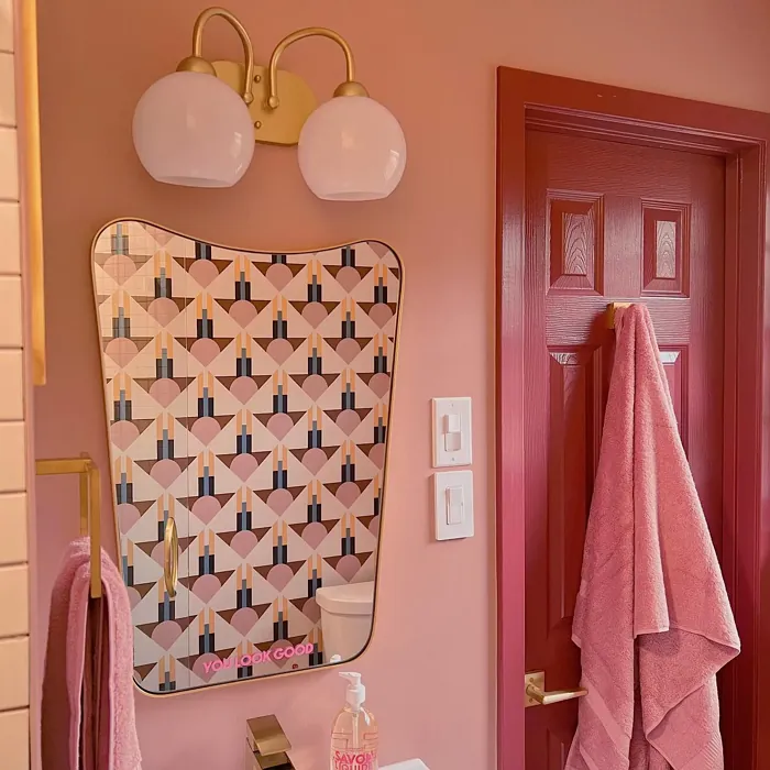 Behr Retro Pink bathroom interior