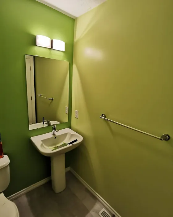 Behr Reviving Green bathroom paint