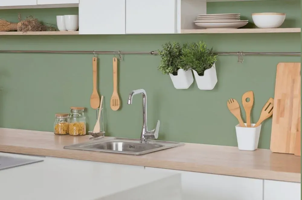 Behr Roof Top Garden kitchen backsplash