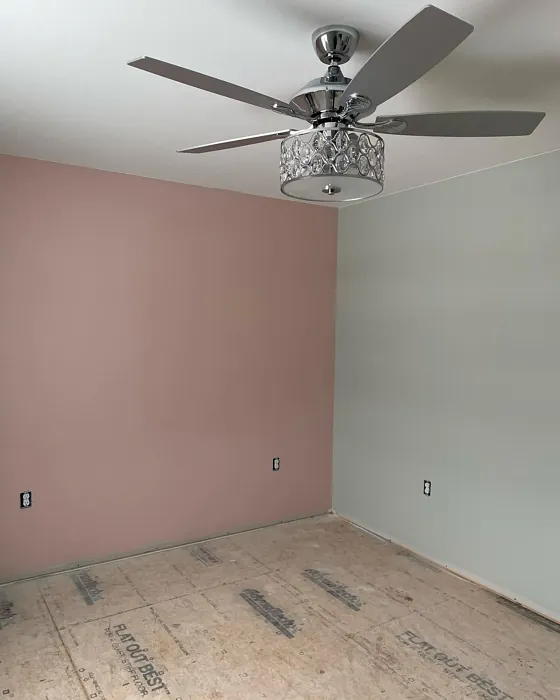 Behr Rosewater accent wall color