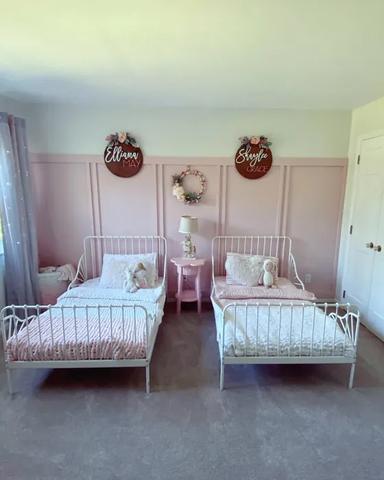 Behr Rosewater kids' room color