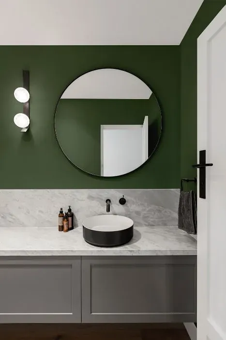 Behr Royal Orchard minimalist bathroom