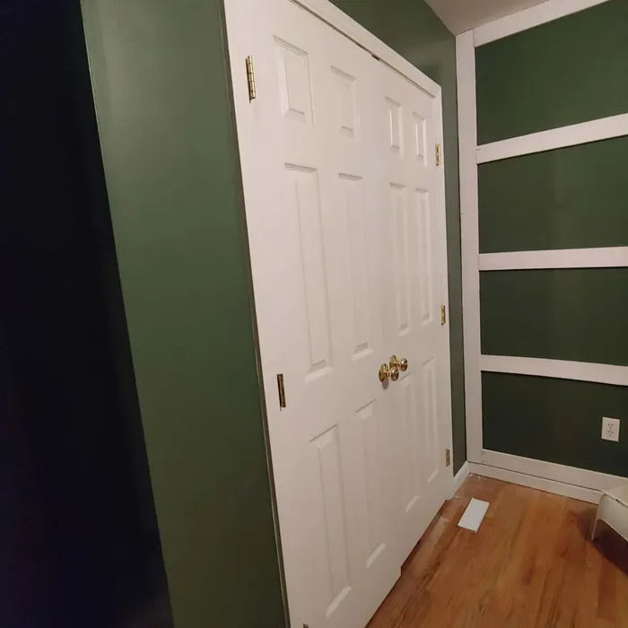 Behr Royal Orchard wall paint color
