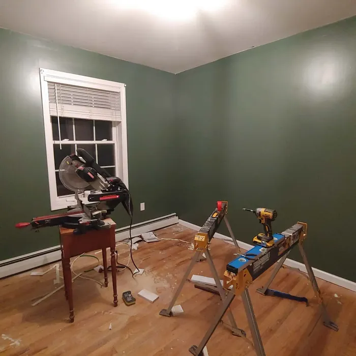 Behr Royal Orchard wall paint paint