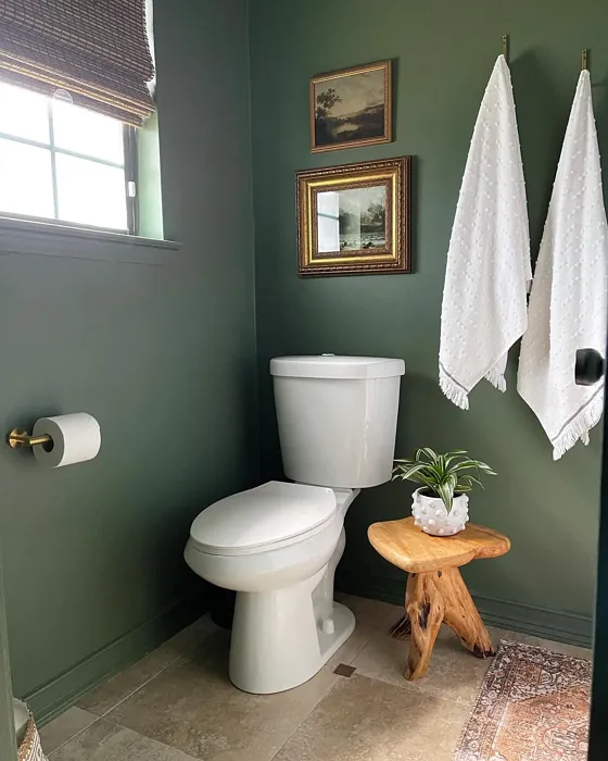 Behr Royal Orchard bathroom color paint