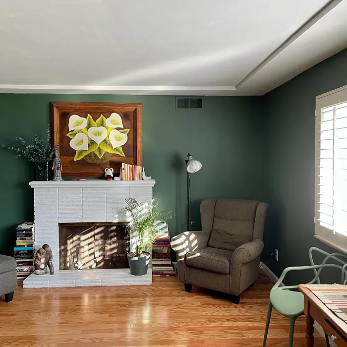 Behr PPU11-01 living room color paint