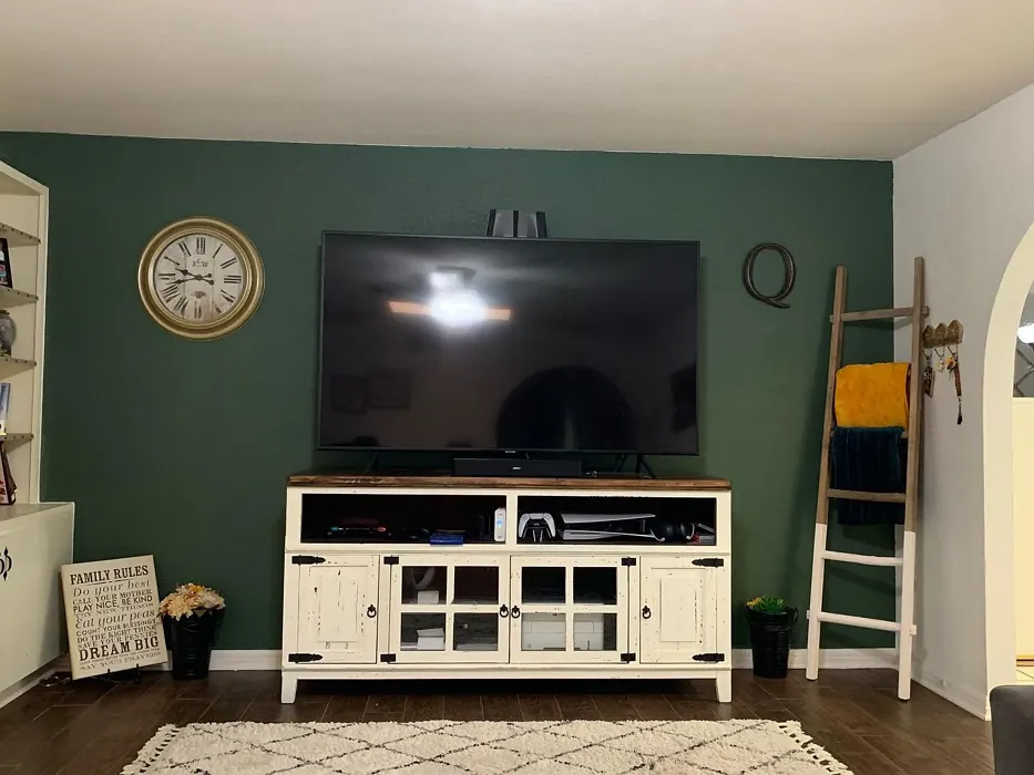 Behr Royal Orchard living room color review