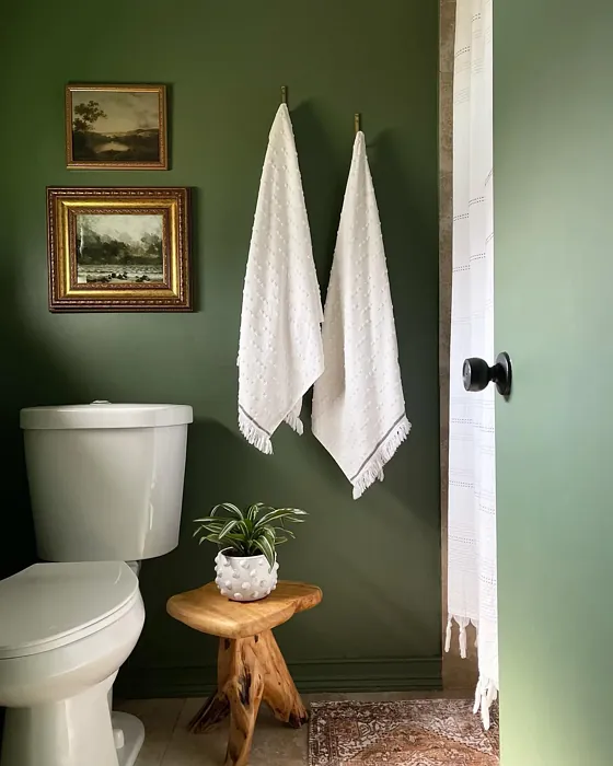 Behr Royal Orchard cozy bathroom paint