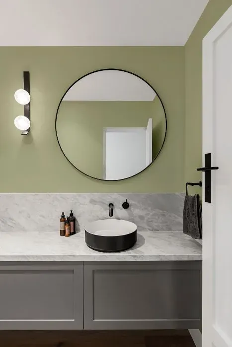 Behr Sage Brush minimalist bathroom