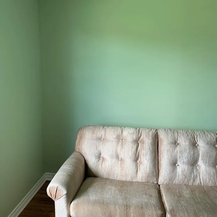 Behr Sage Brush living room color