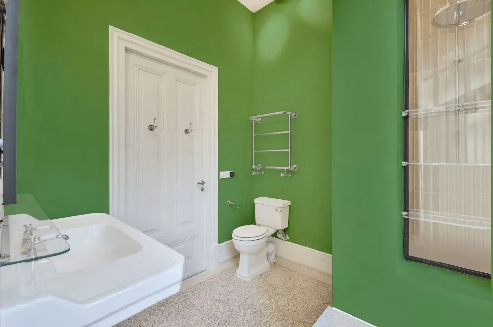 Behr Sage Garden bathroom