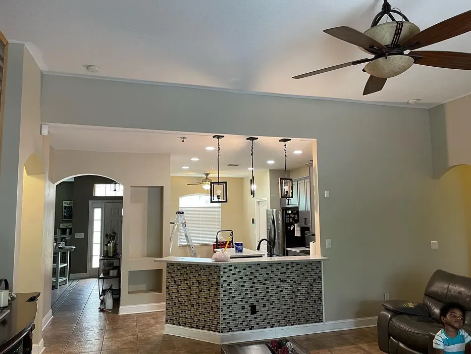 Behr Sandstone Cliff kitchen color review