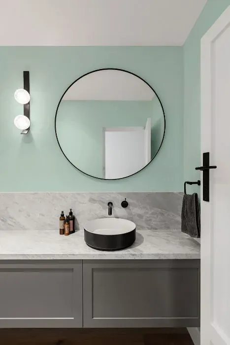 Behr Seaglass minimalist bathroom