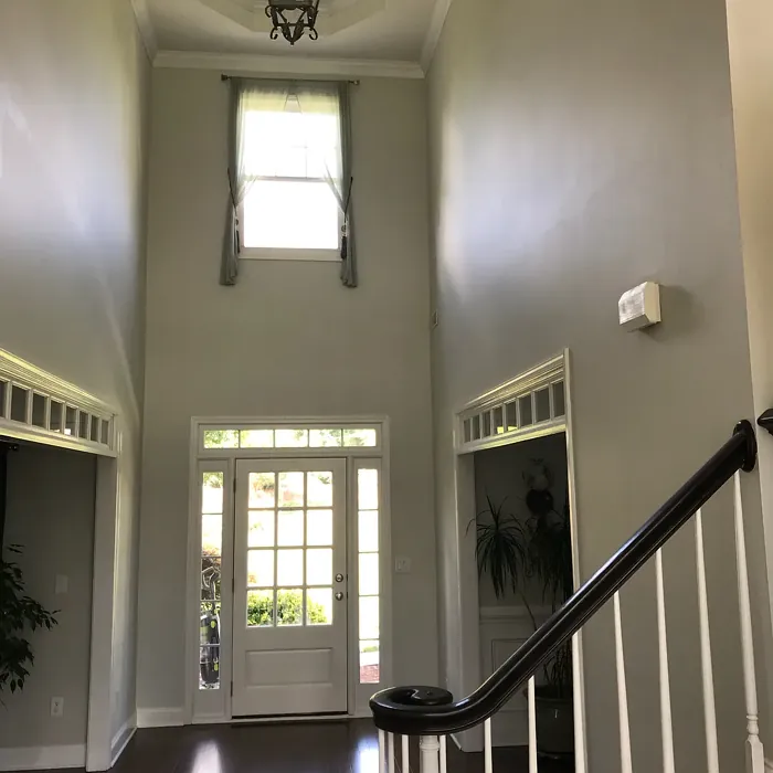 Behr Seagull Gray hallway color