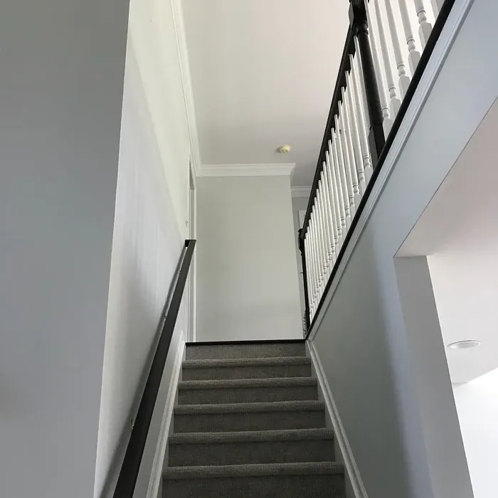 Behr Seagull Gray stairs color review