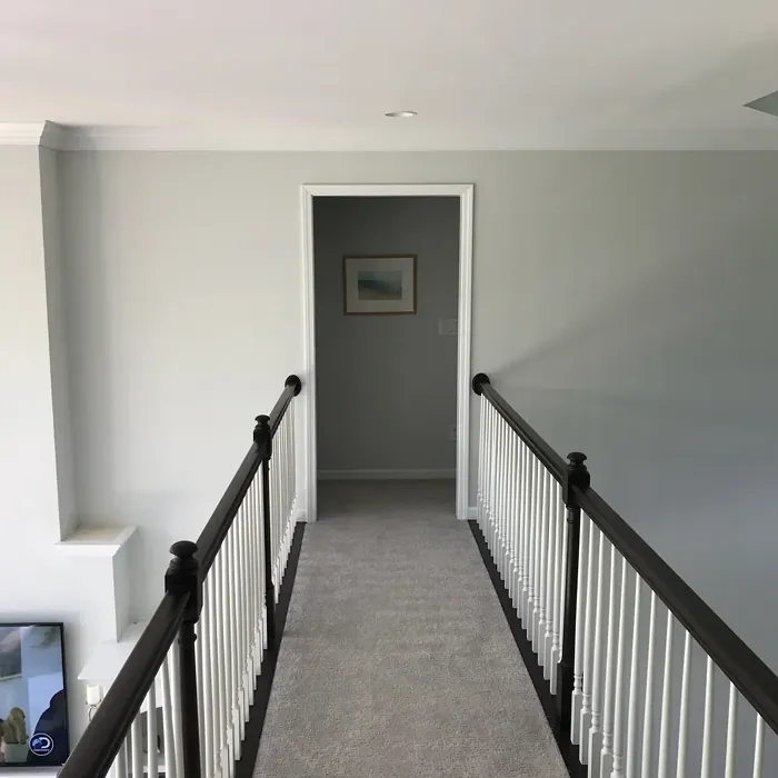 Behr Seagull Gray hallway paint