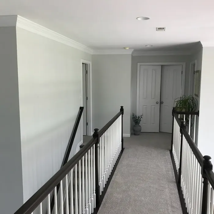 Behr N360-1 hallway paint