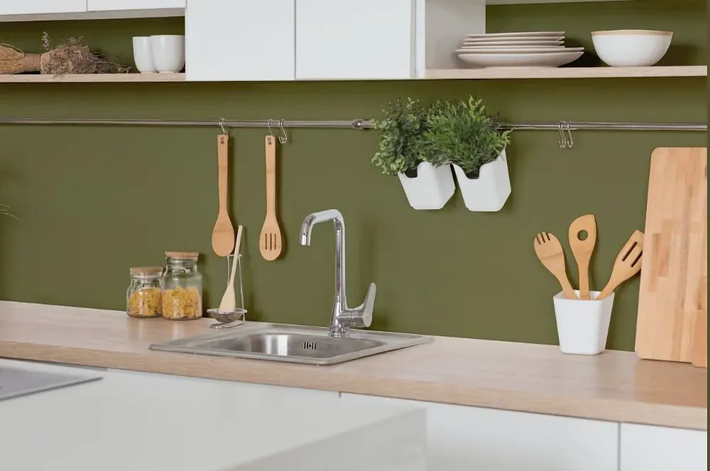 Behr Seaweed Salad kitchen backsplash