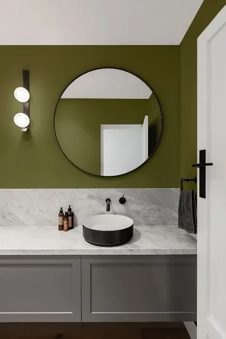 Behr Seaweed Salad minimalist bathroom