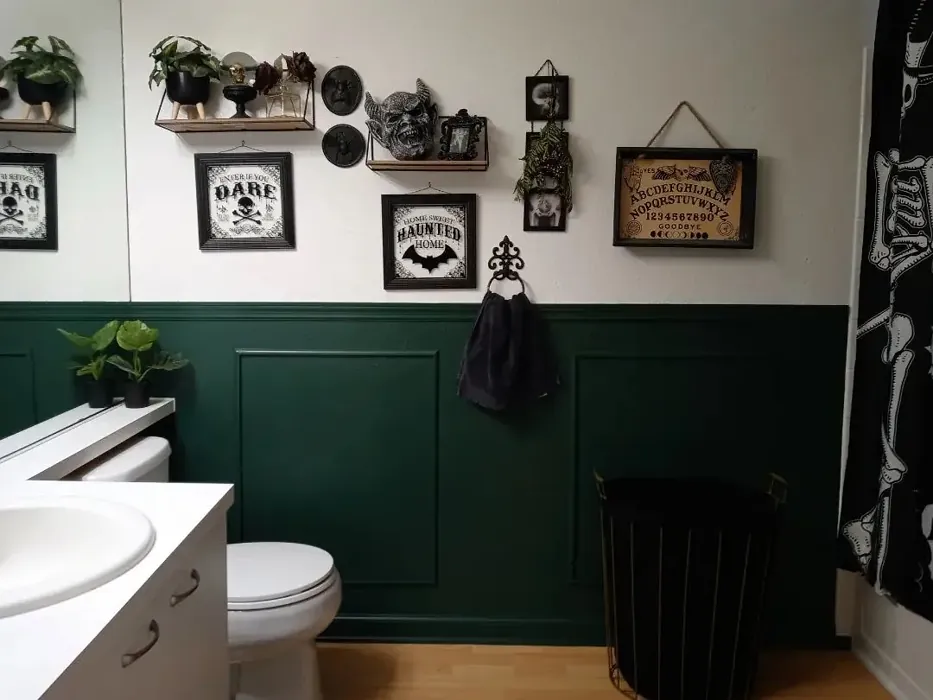 Secluded Woods bathroom wall panelling color
