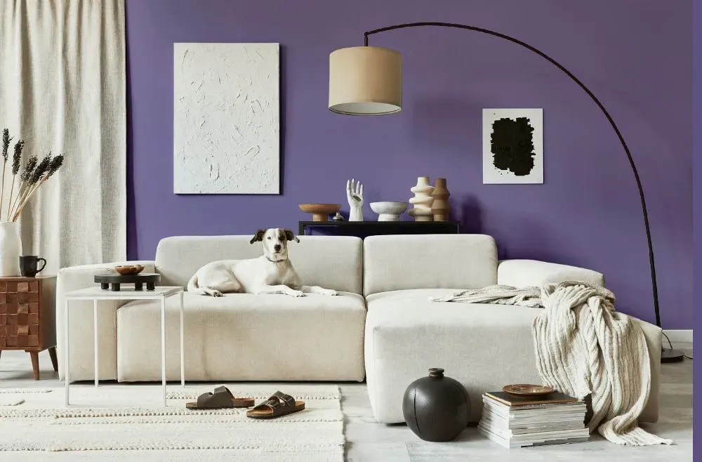 Behr Second Pour cozy living room